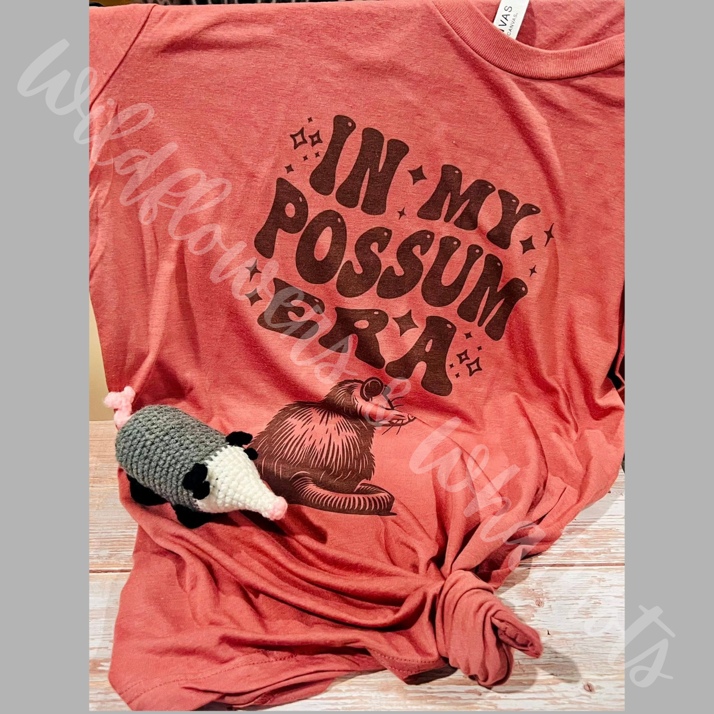 Short Sleeve Tee Shirts